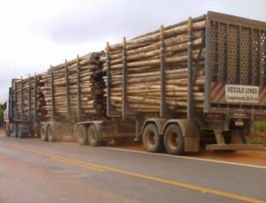 Greve de motoristas ameaça interromper transporte de eucalipto na região