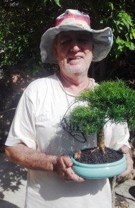 Bonsais, as árvores cultivadas em bandejas