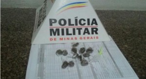 A PM apreendeu 12 buchas de maconha e um pino de cocaína