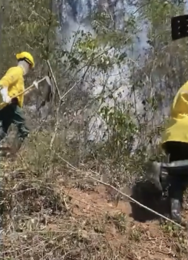 Após 2 dias de grande incêndio florestal, brigada de combate à queimadas tenta debelar chamas em matas de Malacacheta