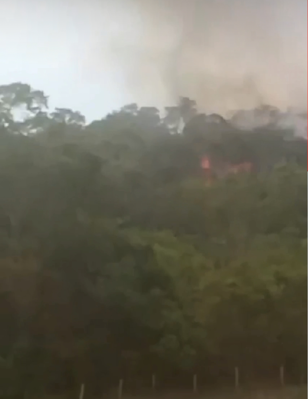 Há três dias região de mata pega fogo no município de Itambacuri, denunciam moradores