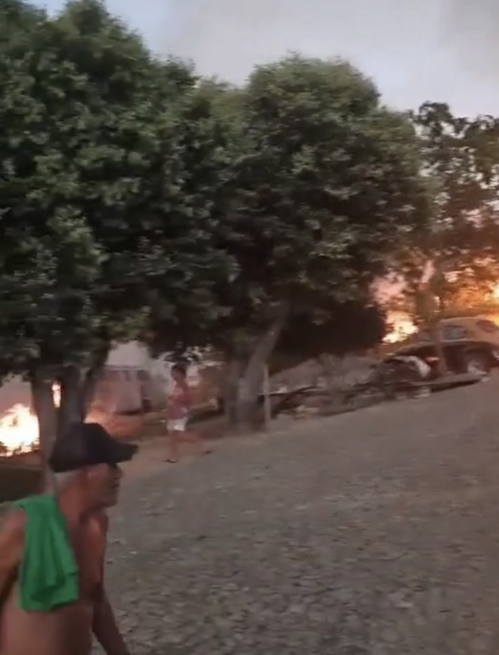 Incêndio florestal em Ataléia invade a cidade e encurrala a população  Veja