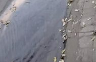 Esse vídeo diz por si mesmo: Enquanto vários bairros em Teó falta água, ela está aqui, jorrando”, na manhã desta segunda