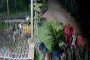 Homem furta várias flores de alto valor na Lajinha, zona rural de Teó