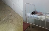 Mãe diz que encontrou escorpião dentro de quarto de hospital onde estavam dois filhos dela internados com dengue, em Itambacuri