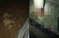 Guerra de facções: Dois homens são baleados e um cachorro morre  após tiroteio em Teófilo Otoni