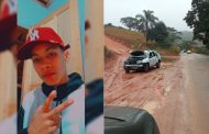 Dois acidentes foram registrados próximo a Itaipé envolvendo animais soltos na rodovia